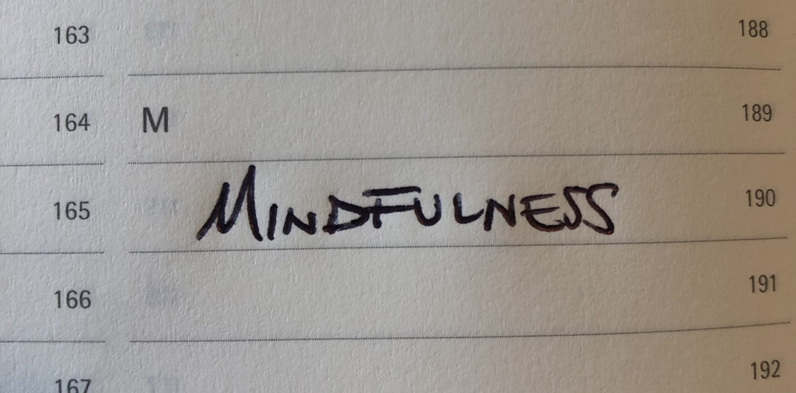 mindfulness on the go